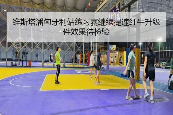 维斯塔潘匈牙利站练习赛继续提速红牛升级件效果待检验